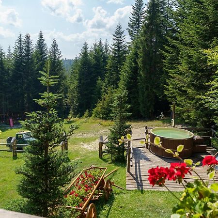 Lesna Bacowka Villa Nowy Targ Ngoại thất bức ảnh