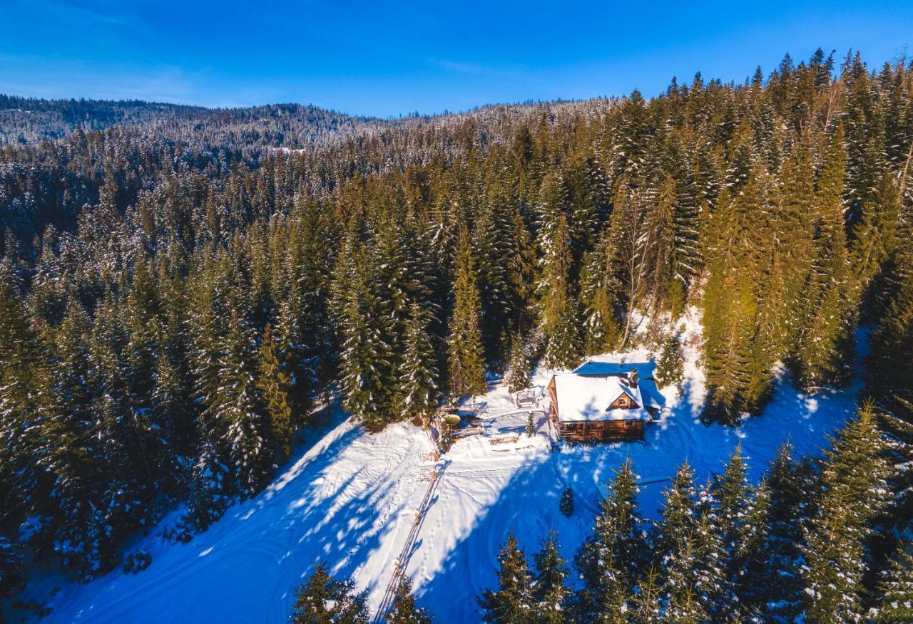 Lesna Bacowka Villa Nowy Targ Ngoại thất bức ảnh