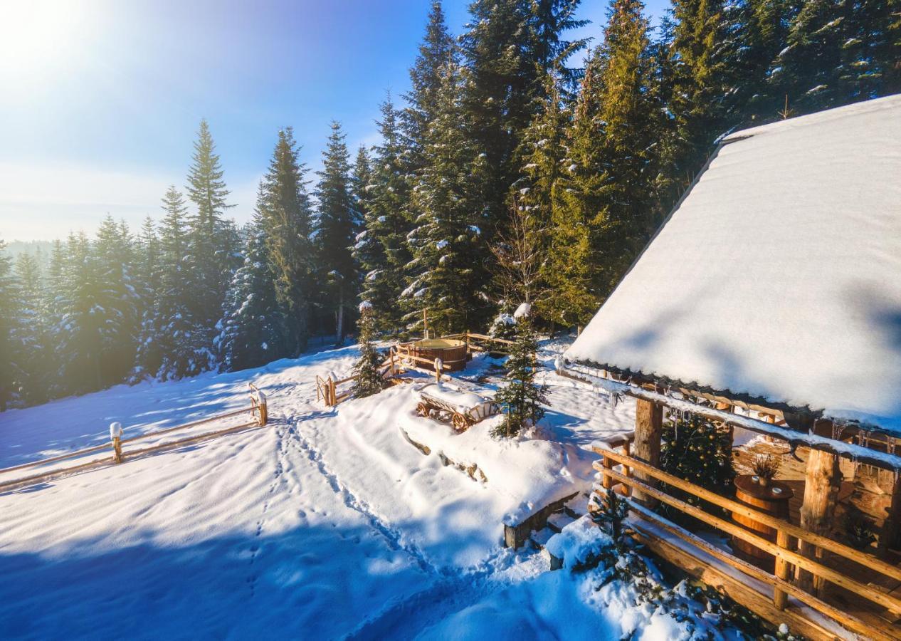 Lesna Bacowka Villa Nowy Targ Ngoại thất bức ảnh