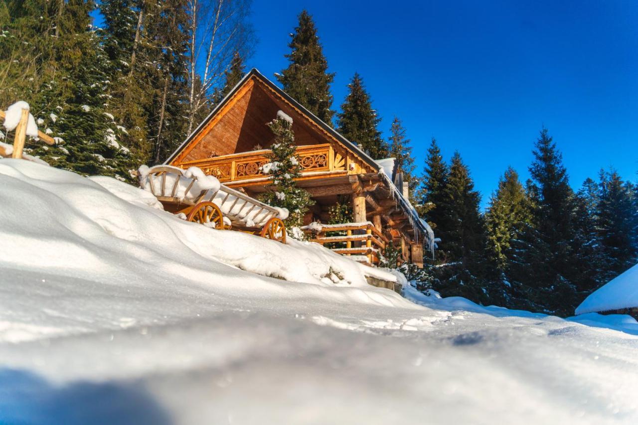 Lesna Bacowka Villa Nowy Targ Ngoại thất bức ảnh