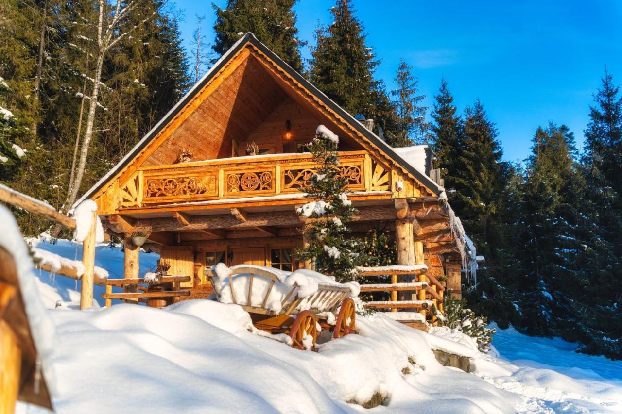 Lesna Bacowka Villa Nowy Targ Ngoại thất bức ảnh