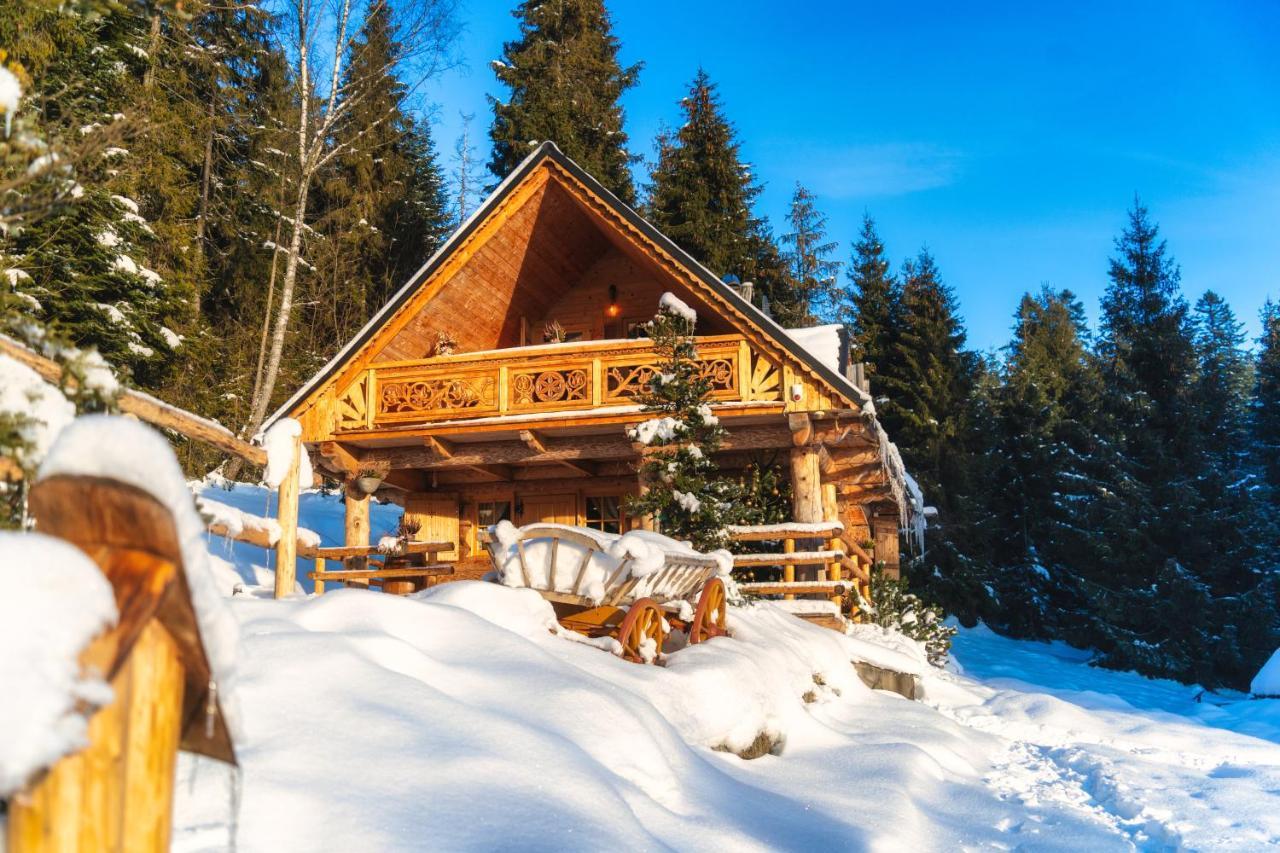 Lesna Bacowka Villa Nowy Targ Ngoại thất bức ảnh