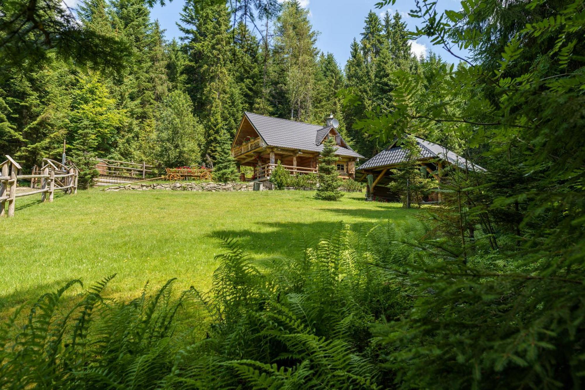 Lesna Bacowka Villa Nowy Targ Ngoại thất bức ảnh