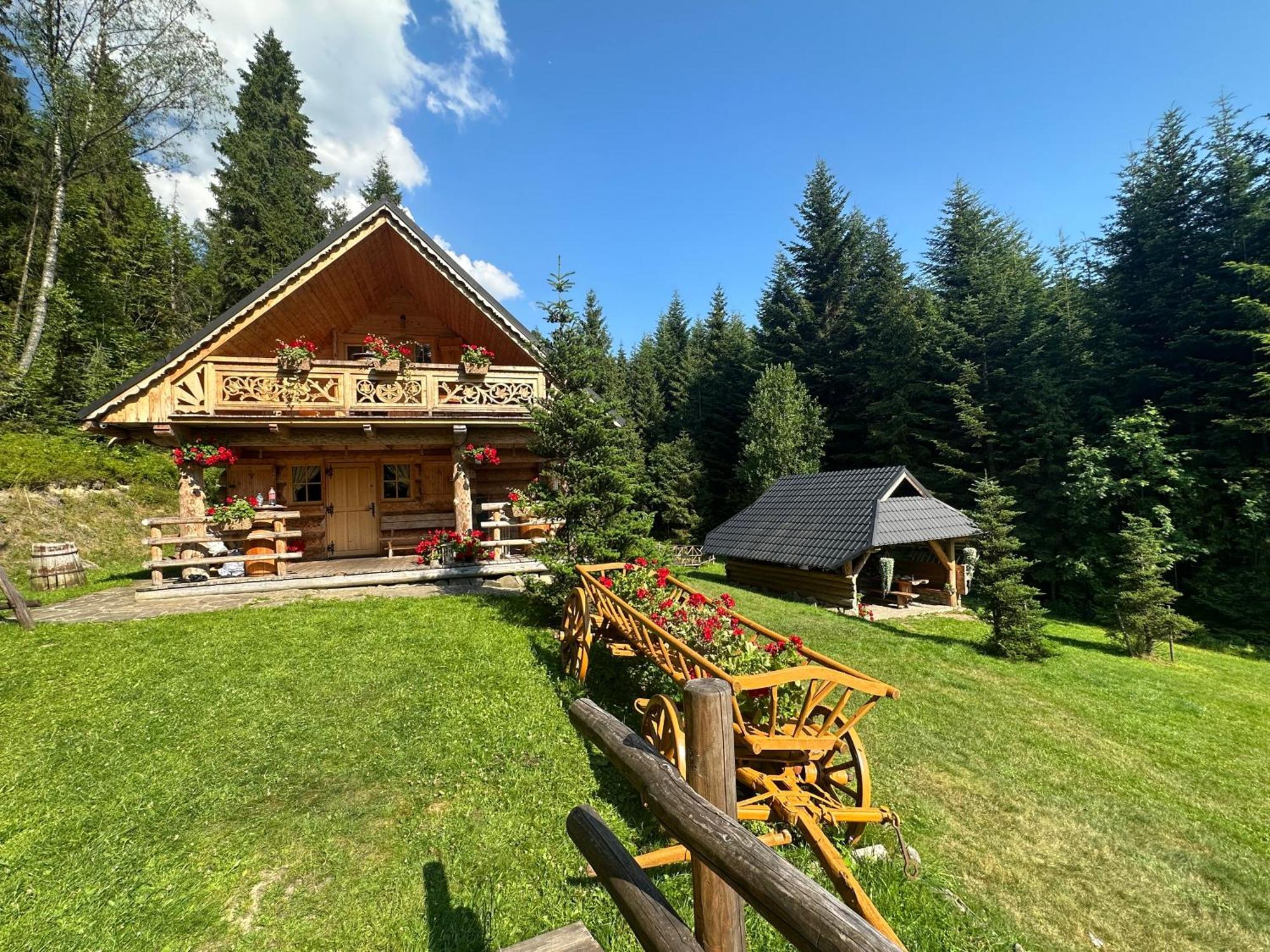 Lesna Bacowka Villa Nowy Targ Ngoại thất bức ảnh
